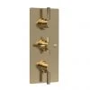 Hudson Reed Tec Pura Plus Triple Concealed Thermostatic Shower Valve - Brushed Brass - A8003