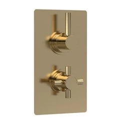 Hudson Reed Tec Pura Concealed Twin Shower Valve with Built-in Diverter - Brushed Brass - A8007
