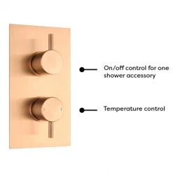 Arezzo Brushed Bronze Round Modern Twin Concealed Shower Valve -Concealed Shower Valves Sales AVLVBRZ1 detail2 460