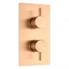 Arezzo Brushed Bronze Round Modern Twin Concealed Shower Valve