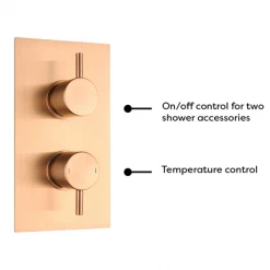 Arezzo Brushed Bronze Round Modern Twin Concealed Shower Valve with Diverter -Concealed Shower Valves Sales AVLVBRZ2 detail3 460