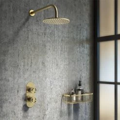 Arezzo Brushed Brass Industrial Style Round Modern Twin Concealed Shower Valve -Concealed Shower Valves Sales AZBBIV1 d4 460