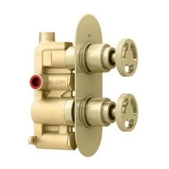 Arezzo Brushed Brass Industrial Style Round Modern Twin Concealed Shower Valve -Concealed Shower Valves Sales AZBBIV1 d5 460