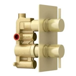 Arezzo Brushed Brass Round Modern Twin Concealed Shower Valve 10 Arezzo Brushed Brass Round Modern Twin Concealed Shower Valve -Concealed Shower Valves Sales AZBBSV n d2 460