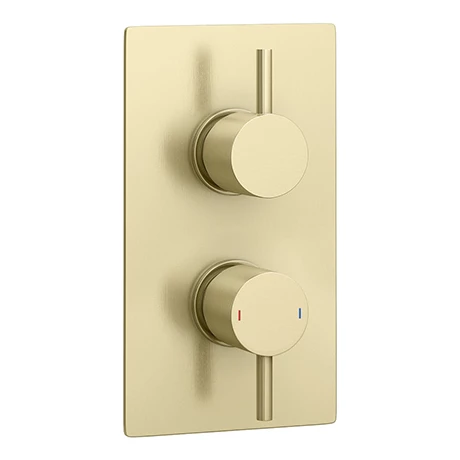 Arezzo Brushed Brass Round Modern Twin Concealed Shower Valve 1 Arezzo Brushed Brass Round Modern Twin Concealed Shower Valve