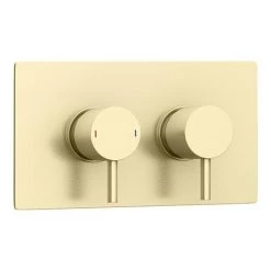 Arezzo Brushed Brass Round Modern Twin Concealed Shower Valve 11 Arezzo Brushed Brass Round Modern Twin Concealed Shower Valve -Concealed Shower Valves Sales AZBBSV new d6 460