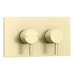Arezzo Brushed Brass Round Modern Twin Concealed Shower Valve with Diverter -Concealed Shower Valves Sales AZBBSVD n d1 460