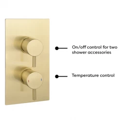 Arezzo Brushed Brass Round Modern Twin Concealed Shower Valve with Diverter -Concealed Shower Valves Sales AZBBSVD n d2 460