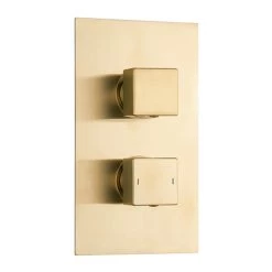 Arezzo Brushed Brass Square Modern Twin Concealed Shower Valve