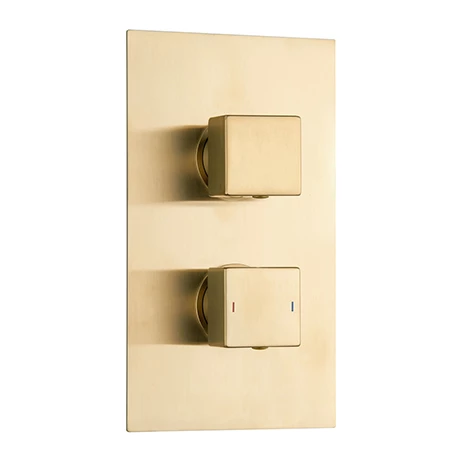 Arezzo Brushed Brass Square Modern Twin Concealed Shower Valve 1 Arezzo Brushed Brass Square Modern Twin Concealed Shower Valve