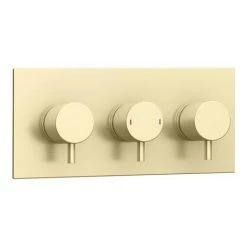Arezzo Brushed Brass Round Modern Triple Concealed Shower Valve -Concealed Shower Valves Sales AZBBTSV new d2 460