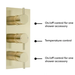 Arezzo Brushed Brass Round Modern Triple Concealed Shower Valve -Concealed Shower Valves Sales AZBBTSV new d5 460