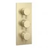 Arezzo Brushed Brass Round Modern Triple Concealed Shower Valve