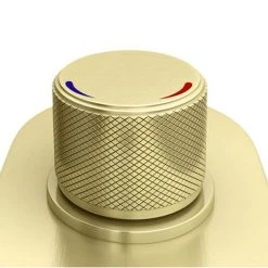 Arezzo Brushed Brass Industrial Style Push Button Shower Valve (2 Outlets) -Concealed Shower Valves Sales AZPB02RBB d5 460