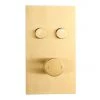 Arezzo Brushed Brass Twin Modern Round Push-Button Shower Valve with 2 Outlets