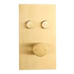Arezzo Brushed Brass Twin Modern Round Push-Button Shower Valve with 2 Outlets