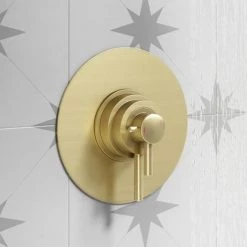 Arezzo Brushed Brass Round Concealed Dual Thermostatic Shower Valve -Concealed Shower Valves Sales AZSV4BB d2 460