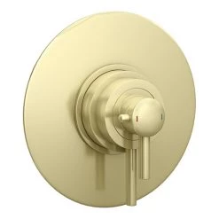 Arezzo Brushed Brass Round Concealed Dual Thermostatic Shower Valve