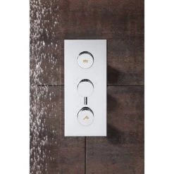 Crosswater - Dial Kai Lever 2 Control Shower Valve - Portrait -Concealed Shower Valves Sales DIAL KAI 3 D1 460