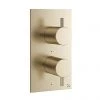 Crosswater MPRO Thermostatic Shower Valve with 2-Way Diverter - Brushed Brass - PRO1510RF+