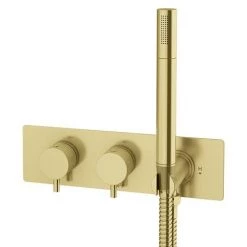 Arezzo Brushed Brass Round Wall Mounted Thermostatic Shower Valve with Handset -Concealed Shower Valves Sales ZSVHBB n d3 460